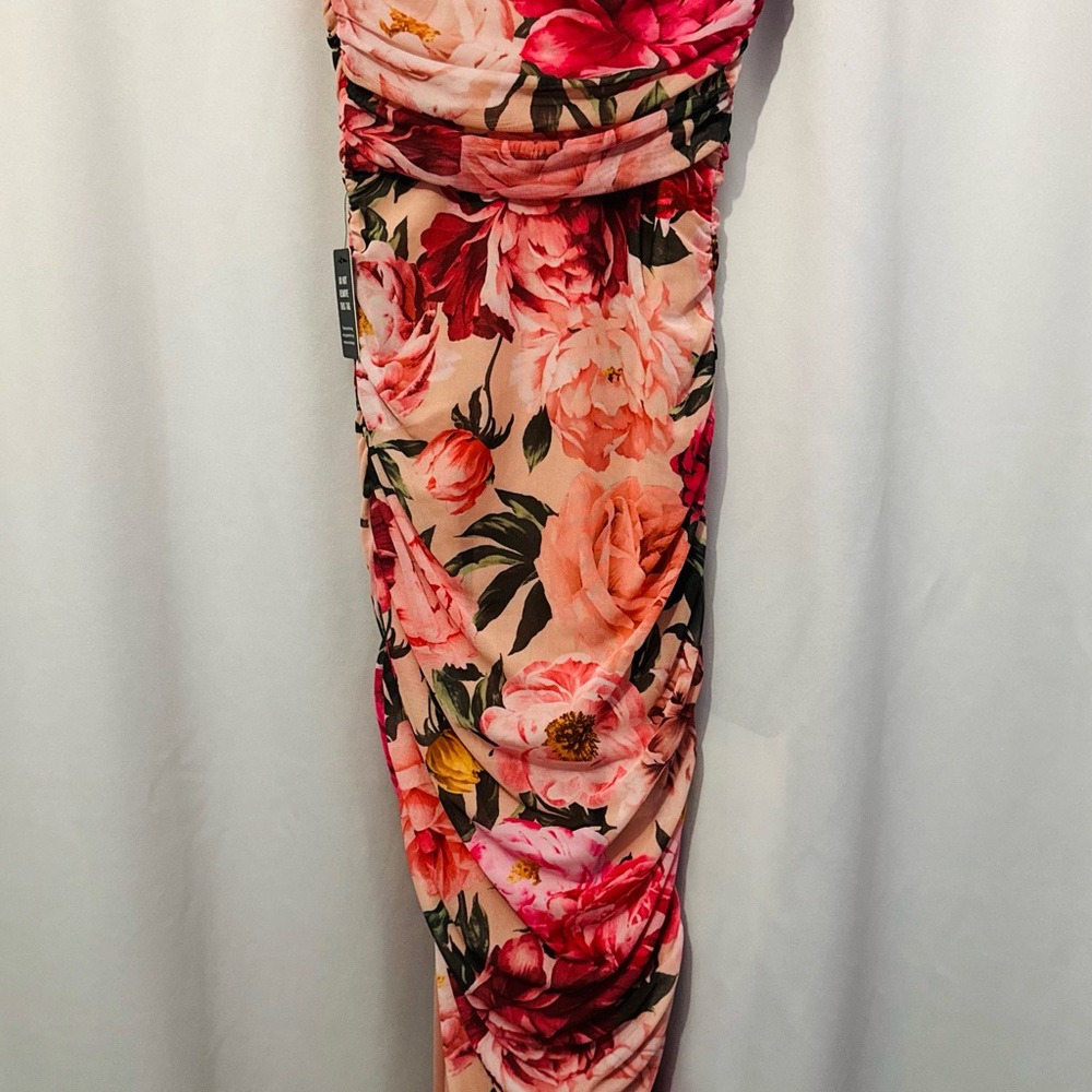 Express Pink and Red Floral Dress